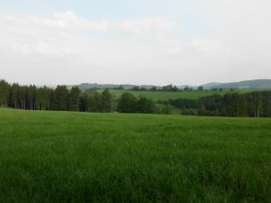 Einfach mal die Seele baumeln lassen