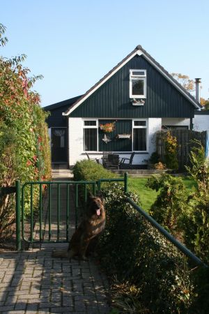 Bild 2: Ferienhaus Antje mit eigenem eingezäunten Garten in Holland