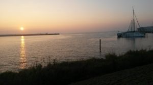 Bild 13: Ferienhaus Antje mit eigenem eingezäunten Garten in Holland