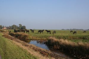Umgebung fußläufig vom Haus