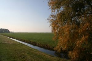 Umgebung fußläufig vom Haus