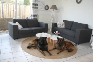 Bild 3: Ferienhaus NINA direkt am Wasser am Ijsselmeer