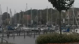 Bild 8: Ferienhaus NINA direkt am Wasser am Ijsselmeer