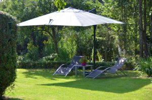 Bild 1: Luftkurort Werdum: Erdgeschoss-Fewo SMUTJE Terrasse + Garten, max. 2 Hunde!