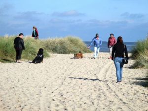 Bild 15: Luftkurort Werdum: Erdgeschoss-Fewo SMUTJE Terrasse + Garten, max. 2 Hunde!