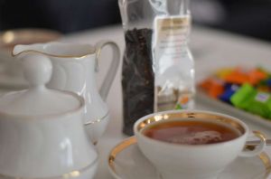 Bild 12: Luftkurort Werdum: Erdgeschoss-Fewo SMUTJE Terrasse + Garten, max. 2 Hunde!