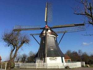 Bild 16: Luftkurort Werdum: Dachgeschoss-Fewo STEUERMANN mit Balkon und Garten