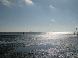 Bild 15: Luftkurort Werdum: Dachgeschoss-Fewo STEUERMANN mit Balkon und Garten