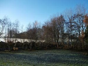 Blick ins Grüne von Ihrem Balkon aus
