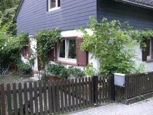 Frontansicht