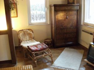 Wohnzimmer (Sekretär & Sessel)