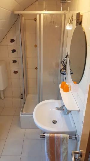 Badezimmer mit Dusche, Handtücher, Zahnputzbecher, Fön