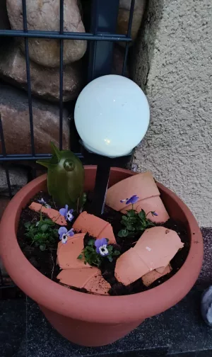 Bild 17: Ferienwohnung Gentsch in Schmannewitz - Eine FeWo NUR für Sie -