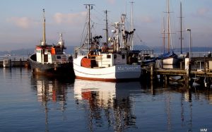 Bild 15: Ferienwohnung in Kiel an der Ostsee Schleswig-Holstein