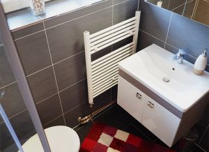 Zweites Duschbad im OG Ebenfalls mit einer bodentiefen Dusche ausgestattet finden Sie hier ein WC, Waschbecken mit Unterschrank und Kosmetikspiegel.