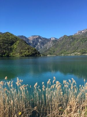 Bild 28: wunderbar ruhig und romantisch gelegenes Ferienhaus in Bezzecca am Ledrosee