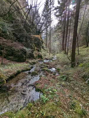 Natur Pur rings ums Haus