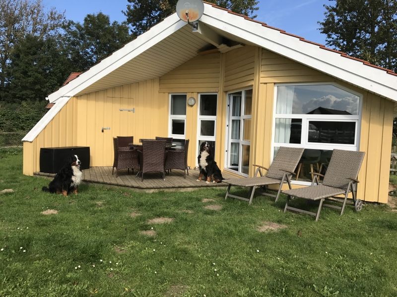 Dänisches Ferienhaus am Naturstrand mit Kamin &amp; SaunaHunde