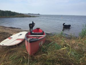 Am Naturstrand einige Minuten zu Fuß vom Haus entfernt