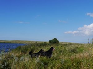 Ein Paradies im Herzen der Natur
