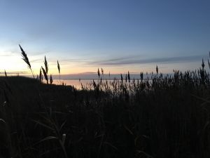 Bild 17: Dänisches Ferienhaus am Naturstrand mit Kamin & Sauna***Hunde willkommen***