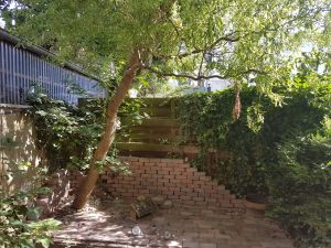 Bild 8: Apartmenthaus 8 Grad Ost 2-Zimmer Ferienapartment m. Terrasse 2-3 Personen