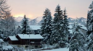 Winter