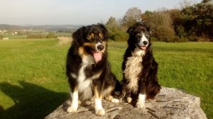 Wunderschöne Aussicht