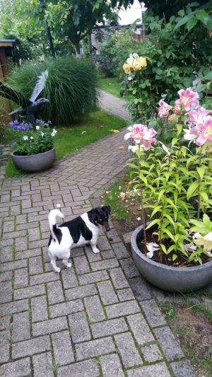 Bild 12: Bed & Breakfast "Tina und Brandy" Fahrradrouten direkt vor der Tür