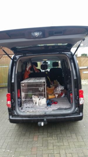 Bild 16: Bed & Breakfast "Tina und Brandy" Fahrradrouten direkt vor der Tür