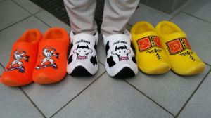 Bild 8: Bed & Breakfast "Tina und Brandy" Fahrradrouten direkt vor der Tür