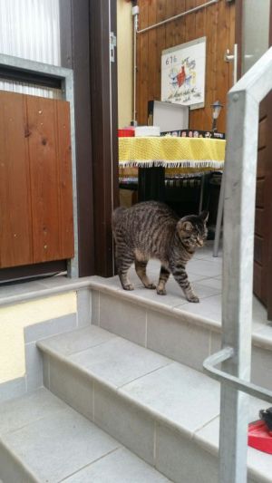 Bild 14: Bed & Breakfast "Tina und Brandy" Fahrradrouten direkt vor der Tür