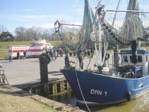 Bild 18: Ferienwohnung Nina 1 - Strandnahe, nur 5 Minuten zum alten Kurhaus