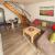 Galeriebild 1