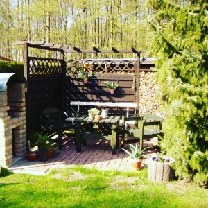 Bild 15: Ferienhaus am Malchiner See mit Motorboot und Kanu