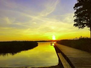 Bild 20: Ferienhaus am Malchiner See mit Motorboot und Kanu