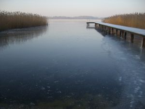Bild 29: Ferienhaus am Malchiner See mit Motorboot und Kanu