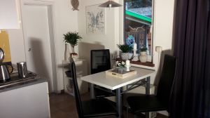 Bild 7: Ferienhaus am Malchiner See mit Motorboot und Kanu
