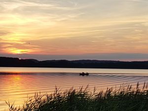 Bild 16: Ferienhaus am Malchiner See mit Motorboot und Kanu