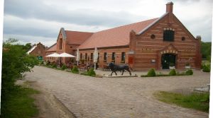 Bild 25: Ferienhaus am Malchiner See mit Motorboot und Kanu