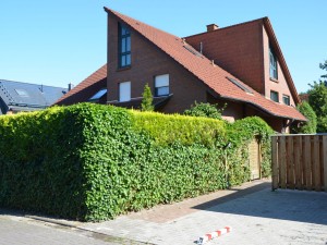 Bild: Ferienhaus Quatro A im Nordseebad Dangast - für 6 Personen und 1 Kleinkind