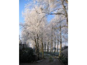 Bild 20: Luxuriöses Landhaus Birkenhof mit 10.400qm Garten & Land - spektakulär!