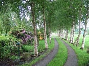 Bild 2: Luxuriöses Landhaus Birkenhof mit 10.400qm Garten & Land - spektakulär!