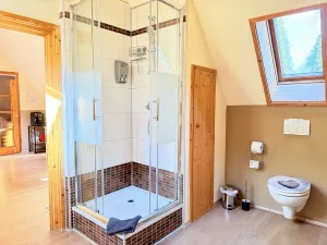 DG Tageslichtbad mit Sauna Bild 19: Wellness Ferienhaus Schwarzwaldhaus Zwink Enzklösterle Sauna BBQ Garten