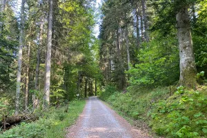Eingang zum Bärlochkar Abenteuerlicher Rundweg