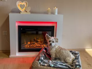 gemütliches Wohn-Esszimmer Bild 24: Wellness Ferienhaus Schwarzwaldhaus Zwink Enzklösterle Sauna BBQ Garten