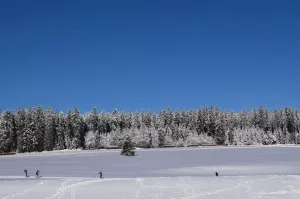 Langlaufloipen in der Nähe ca. 10 Km entfernt