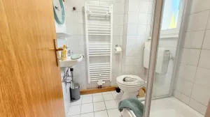 Tageslichtbad mit Dusche Bild 28: Wellness Ferienhaus Schwarzwaldhaus Zwink Enzklösterle Sauna BBQ Garten