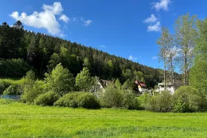 Umgebung im Rohnbach Bild 46: Wellness Ferienhaus Schwarzwaldhaus Zwink Enzklösterle Sauna BBQ Garten