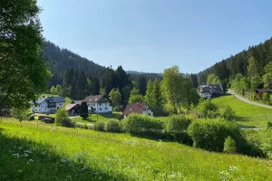 Wanderwege ab der Haustüre schöne Wanderwege beginnen ab der Haustüre
Heidelbeerweg
Bärlochkar